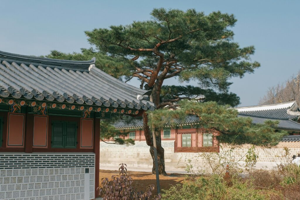 사극 공식 변화 관련 한국 전통 이미지